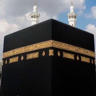 mnooli2030's profile picture. ٠٠