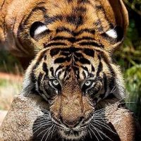 Rip McGee (@mcgee_rip) 's Twitter Profile Photo