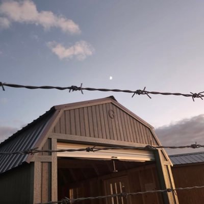 DanielJ95132273's profile picture. 