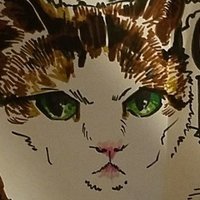 CGD (@cg_dreamer) 's Twitter Profile