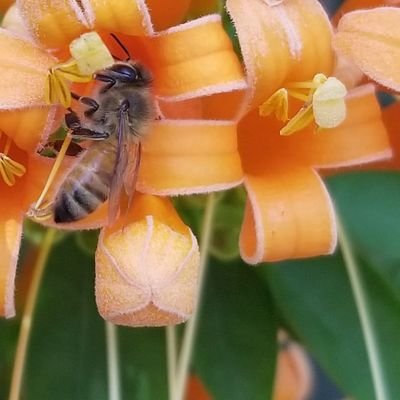 BMathGirl18's profile picture. 