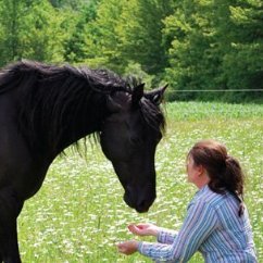 Author of fiction novels characterizing small town themes and events. Retired law enforcement, equestrian and horse farm owner.