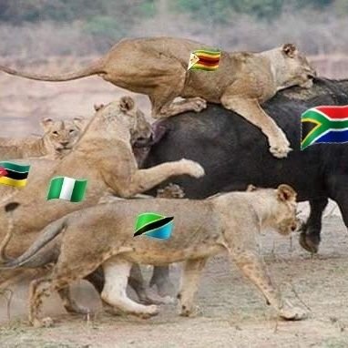 ❤️🇿🇦 I love my country ❤️🇿🇦
#PutSouthAfricansFirst ❤️🇿🇦