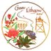 Greater Lithgow (@LithgowNSW) Twitter profile photo