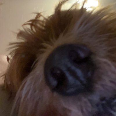 tropiccsf's profile picture. goofy ahh acc