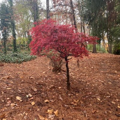 JeweltheDiva's profile picture. 