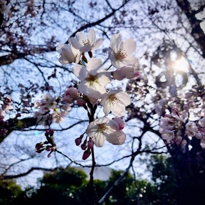 RANさんのプロフィール画像