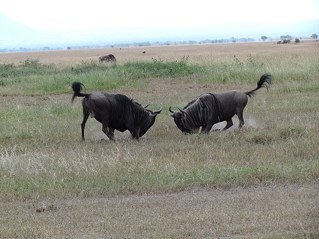 my2303's profile picture. 