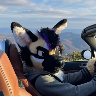 I bark at things as they pass by | MechEng 🔧 Autos 🚗 Motos 🏍️ Tech 📱 | A gay (aard)wolf on the internet 🌈🐺 | @rinzensashi is my 🐰 ❤️
