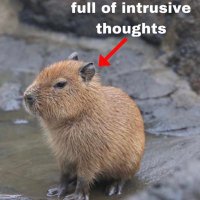 Goobert (@bisexual_lefty) 's Twitter Profile