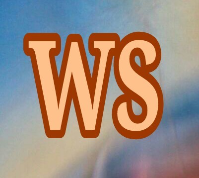 wiseseecom's profile picture. domain seller, wisesee.com, aboveprint.com, Christian domains each for only $500. I like to build a market where one can easily shop for a Christian domain.
