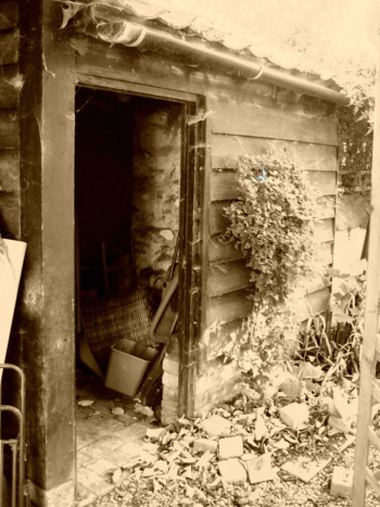 from aspiration to perspiration - 'sits' will follow my journey into social pleasure and warmth this winter with the development of an old shed into a sauna