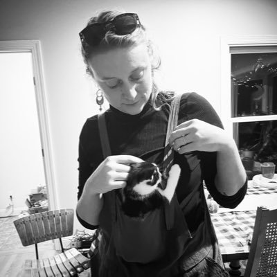 secretfishtank's profile picture. 