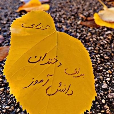من سرو خواهم خواند
.بار بار آزادییییی ☝️🇦🇫
میرزمیم تا رسیدن به آزادی