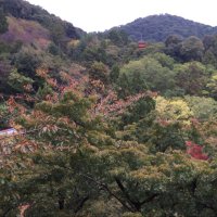 さみだれパスタ (@samidare_spa) 's Twitter Profile Photo