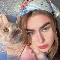 BitcoinSapiens ⚡️ (@cmefried43) 's Twitter Profile