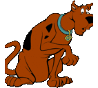 Scott Seago - @ScottSeago - Twitter