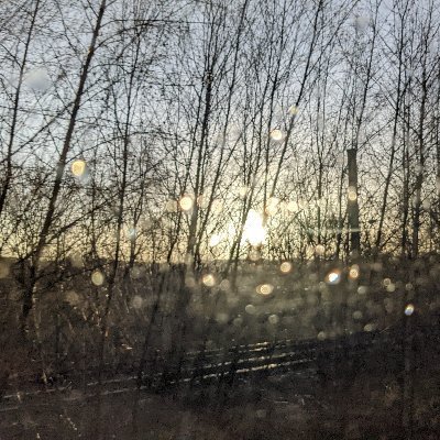 JobstMarko's profile picture. 