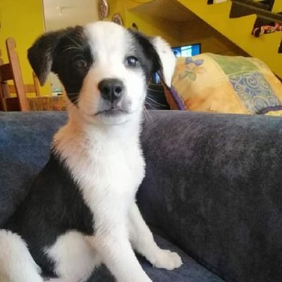 macata1511's profile picture. Mamá, trabajo por mi cuenta, salsera y alegre. Anti amlo