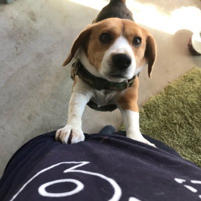 dSqSEv3xPbHlUZV's profile picture. 稲垣吾郎さん沼にはまり中