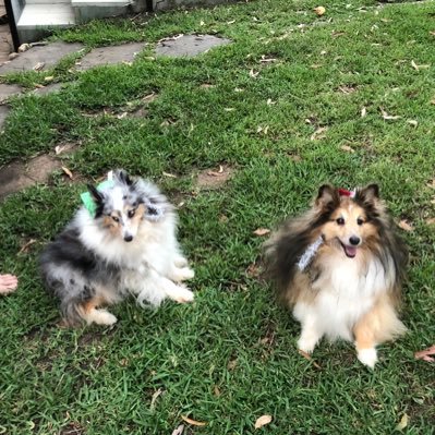 SallyIvers's profile picture. Australian Christian retired lady. Please no DMs.