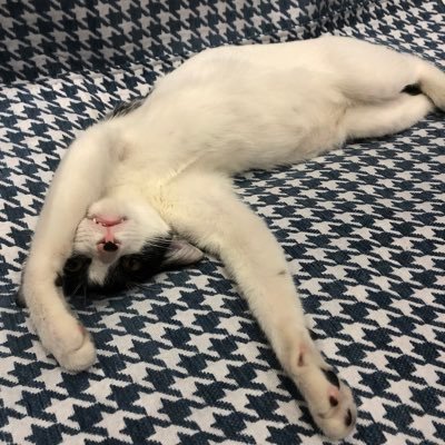 MaiPhiLong6's profile picture. 