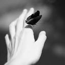 Ingrid Carrillo - @CarrilloIngrid - Twitter