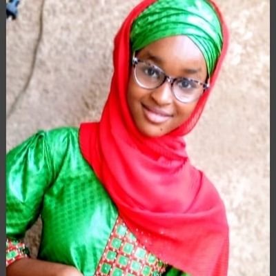 AlAminIbrahimH1's profile picture. 