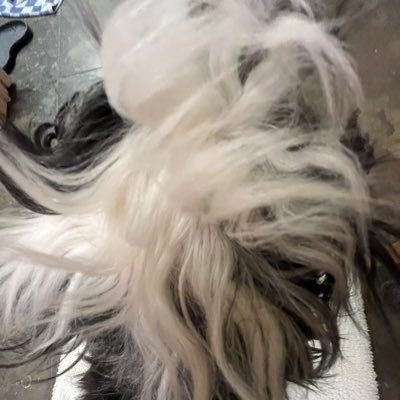 maraaavbrnkhrst's profile picture. biologically