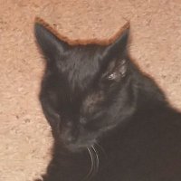 Allan Kruelle (@provingmars) 's Twitter Profile Photo Allan Kruelle (@provingmars) 's Twitter Profile Photo