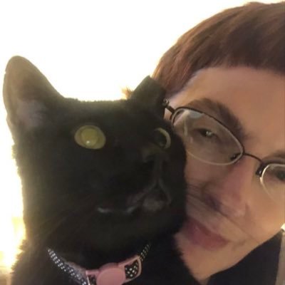 PalmosLee's profile picture. I am a former symphony orchestral violinist, a mom, and I love animals.  I am in love with “The Scorpions” and Layne Staley!