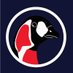 Go Go Geese (@tmlivingwbirds) Twitter profile photo