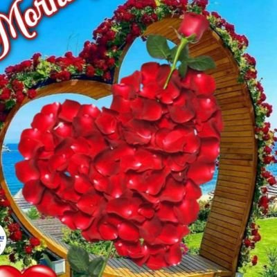 Sk791982's profile picture. Matured male from Delhi