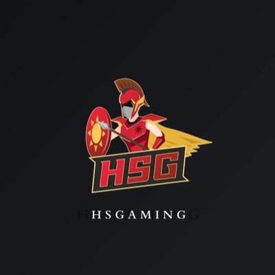 HSG Official Twitter Account: Professional Female CSGO Team #HSG Business contact: haoshenggaming@gmail.com