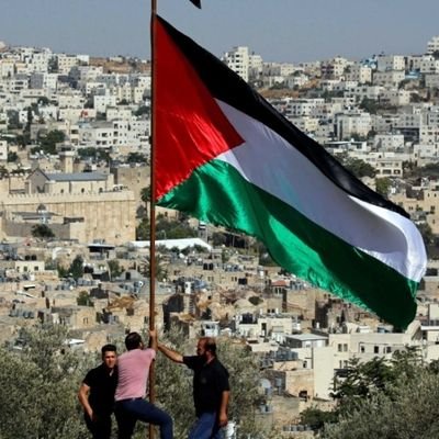 Palestine news