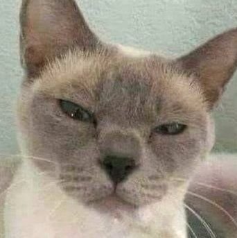 helloinfp52_'s profile picture. 🐳

belajar jadi manusia,