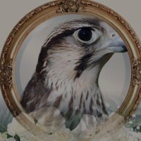 عز نفسك (@mzhsryf3) 's Twitter Profile