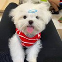 Nancy Bennett - @NancyBe64748841 - Twitter