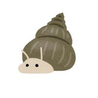 タニシ丸 (@t24mr) 's Twitter Profile