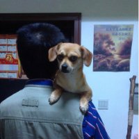 David✝️ (@david70841593) 's Twitter Profile