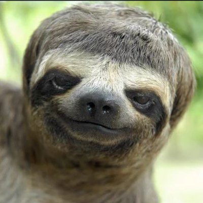 Savage Slothさんのプロフィール画像