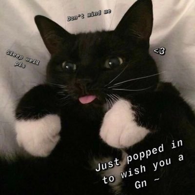 MyDarlingg_gg's profile picture. Ex @Mindfreak CODM x3 OCE Regional champ 🇦🇺🇻🇳