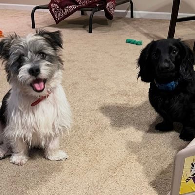 miamidevil65's profile picture. America First, MAGA!