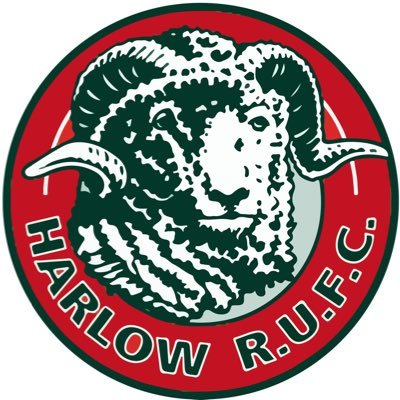 The New Official Account of Harlow Rugby Club