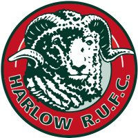 Harlow Rugby Club (@harlowrugby) 's Twitter Profile