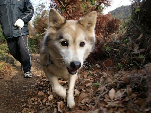 onoa6539's profile picture. 生年月日が岡崎体育と同じ。
ベイ＆SEA＆NYYファン、ラジオ