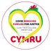 Covid-19 Bereaved Families for Justice Cymru (@cymru_inquiry) Twitter profile photo