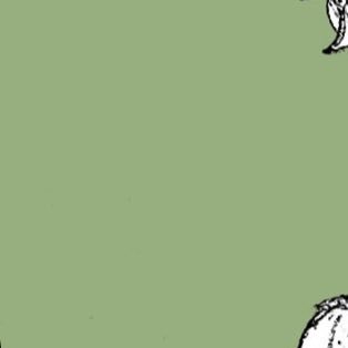 燈華さんのプロフィール画像