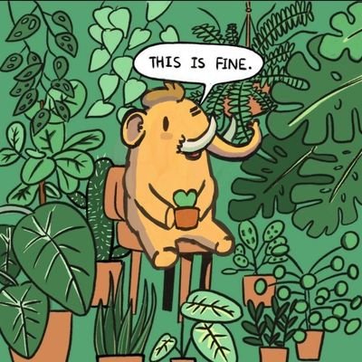 find me on mastodon ✌️
https://t.co/dG59xaUx8L