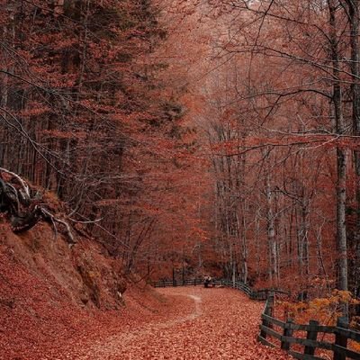 igas_tiramisu's profile picture. 18 //sleeping is my favourite  hobby 💤